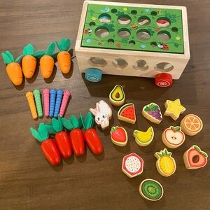 Montessori Shape Sorter Toy